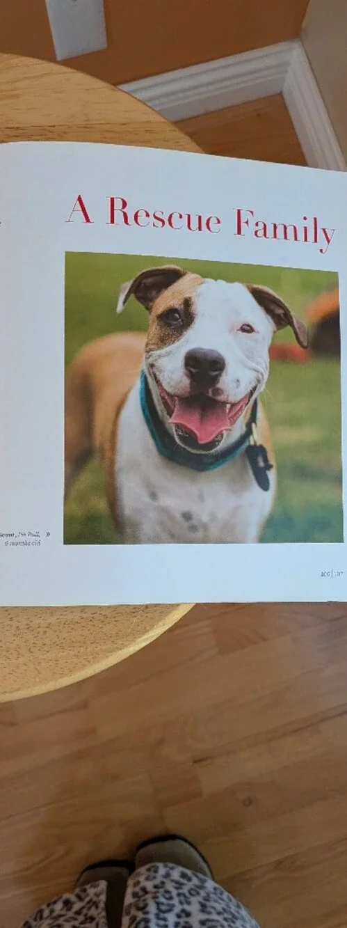 DOGIST Coffee Table Book - Brown Cover